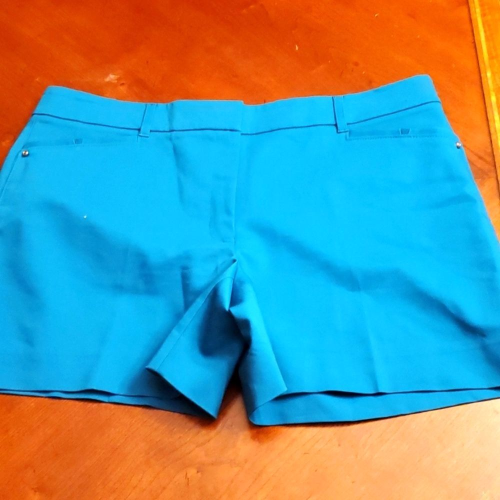 The Fifth Label Teal Shorts Size 12